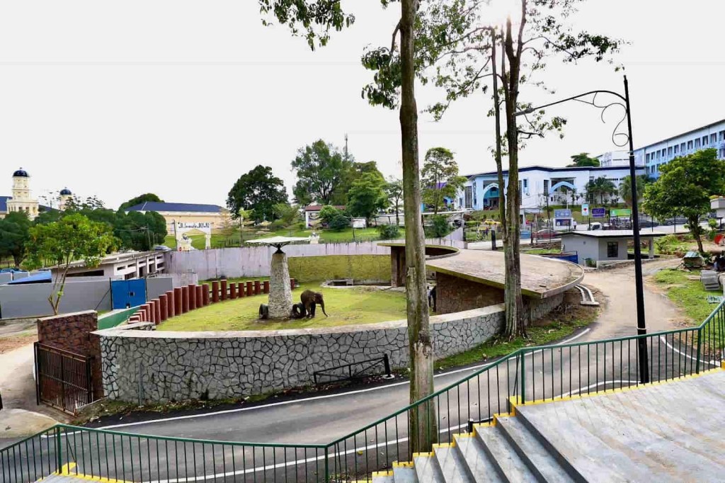 Top Christmas Activities in Johor Bahru Meet Animals at the Johor Zoo