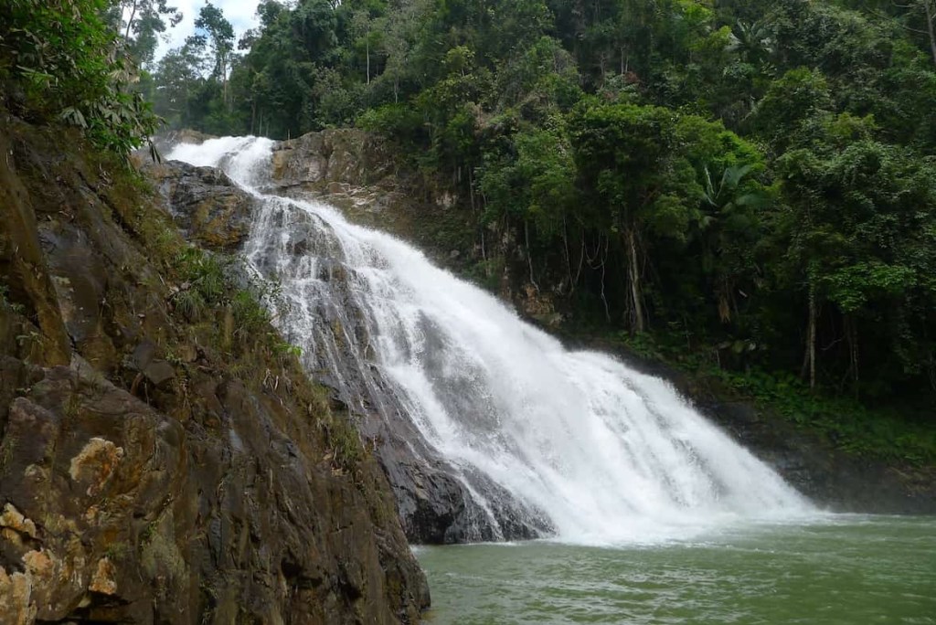 Best Things to Do in Mersing Johor for Tourists Explore Endau Rompin National Park